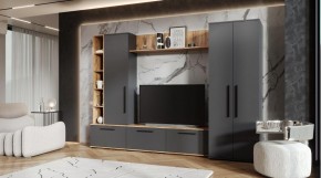 ЛЕВАНТЕ Гостиная в Лабытнанги - labytnangi.mebel24.online | фото