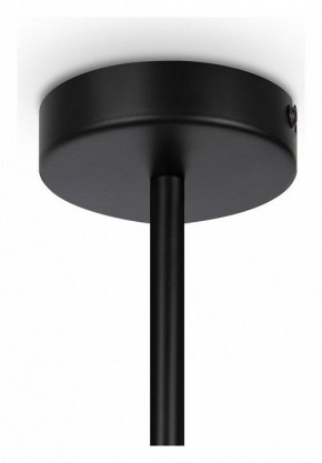 Люстра на штанге Maytoni Memory MOD177PL-04B в Лабытнанги - labytnangi.mebel24.online | фото 4