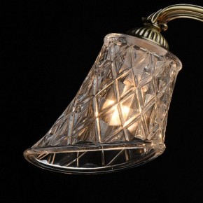 Люстра на штанге MW-Light Ариадна 32 450019105 в Лабытнанги - labytnangi.mebel24.online | фото 10