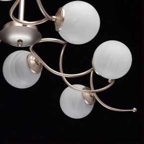 Люстра на штанге MW-Light Оливия 5 306012709 в Лабытнанги - labytnangi.mebel24.online | фото 10