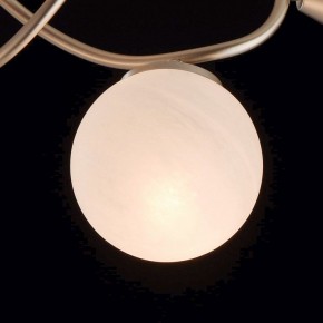 Люстра на штанге MW-Light Оливия 5 306012709 в Лабытнанги - labytnangi.mebel24.online | фото 6