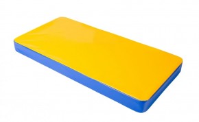 Мат гимнастический 1х0,5х0,08м цв. синий-желтый в Лабытнанги - labytnangi.mebel24.online | фото 1