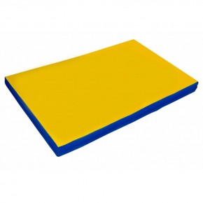 Мат гимнастический 2х1х0,05м цв. синий-желтый в Лабытнанги - labytnangi.mebel24.online | фото 1