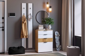 МЕБЕЛЬСОН К21 Прихожая в Лабытнанги - labytnangi.mebel24.online | фото