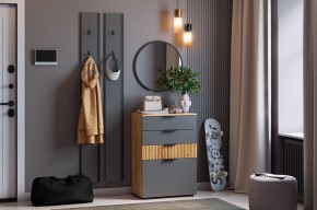 МЕБЕЛЬСОН К21 Прихожая в Лабытнанги - labytnangi.mebel24.online | фото 2