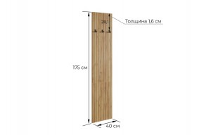 МЕБЕЛЬСОН К8 Прихожая в Лабытнанги - labytnangi.mebel24.online | фото 3