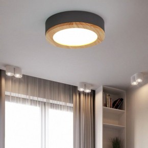 Накладной светильник Imperiumloft Wudda Серый WUDDA01 в Лабытнанги - labytnangi.mebel24.online | фото 3