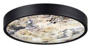 Накладной светильник Odeon Light Bergi 5064/30L в Лабытнанги - labytnangi.mebel24.online | фото 4