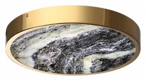 Накладной светильник Odeon Light Bergi 5079/30L в Лабытнанги - labytnangi.mebel24.online | фото 3