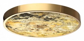 Накладной светильник Odeon Light Bergi 5079/40L в Лабытнанги - labytnangi.mebel24.online | фото 2