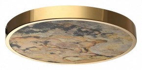 Накладной светильник Odeon Light Bergi 5079/40L в Лабытнанги - labytnangi.mebel24.online | фото 4