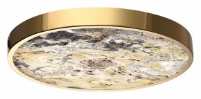 Накладной светильник Odeon Light Bergi 5079/40L в Лабытнанги - labytnangi.mebel24.online | фото 6