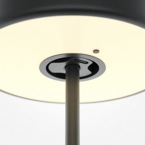 Настольная лампа декоративная Maytoni AI Collaboration MOD229TL-L3B3K2 в Лабытнанги - labytnangi.mebel24.online | фото 5