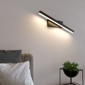 Подсветка для картины Elektrostandard Rino a061222 в Лабытнанги - labytnangi.mebel24.online | фото 3