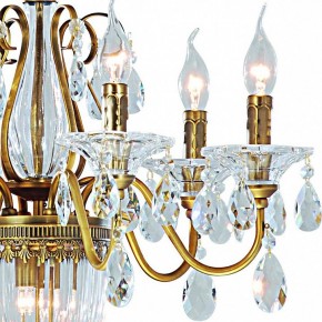 Подвесная люстра Arte Lamp Schelenberg A4410LM-6-2SR в Лабытнанги - labytnangi.mebel24.online | фото 4