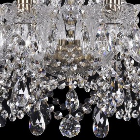 Подвесная люстра Bohemia Ivele Crystal 1411 1411/10/195/Pa в Лабытнанги - labytnangi.mebel24.online | фото 3