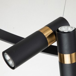 Подвесная люстра Favourite Light point 2997-6P в Лабытнанги - labytnangi.mebel24.online | фото 10