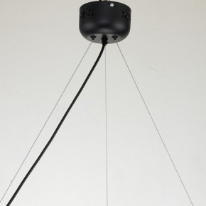 Подвесная люстра Favourite Light point 2997-6P в Лабытнанги - labytnangi.mebel24.online | фото 11
