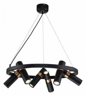 Подвесная люстра Favourite Light point 2997-6P в Лабытнанги - labytnangi.mebel24.online | фото 3