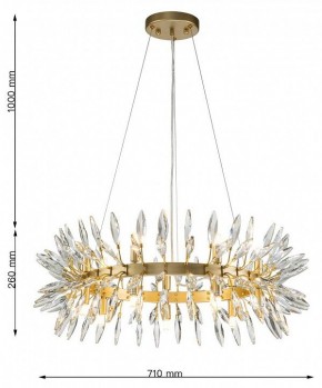Подвесная люстра Favourite Rays 4058-14P в Лабытнанги - labytnangi.mebel24.online | фото 7
