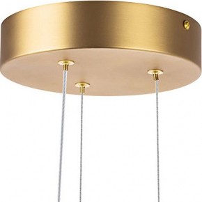 Подвесная люстра Lightstar Bergamo 745247 в Лабытнанги - labytnangi.mebel24.online | фото 6
