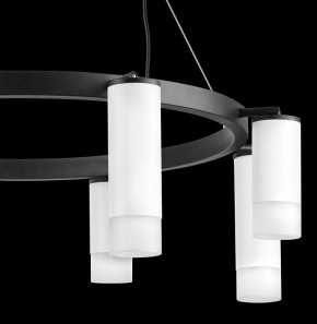 Подвесная люстра Lightstar Rullo LR0183648641 в Лабытнанги - labytnangi.mebel24.online | фото 5