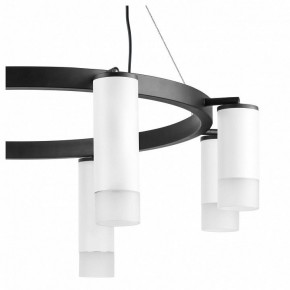 Подвесная люстра Lightstar Rullo LR0188643641 в Лабытнанги - labytnangi.mebel24.online | фото 5
