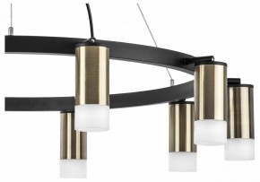 Подвесная люстра Lightstar Rullo LR0203101 в Лабытнанги - labytnangi.mebel24.online | фото 5
