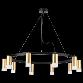 Подвесная люстра Lightstar Rullo LR0204001 в Лабытнанги - labytnangi.mebel24.online | фото 3