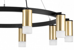 Подвесная люстра Lightstar Rullo LR0204001 в Лабытнанги - labytnangi.mebel24.online | фото 5