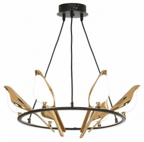 Подвесная люстра Lussole Jasper LSP-8641 в Лабытнанги - labytnangi.mebel24.online | фото 4