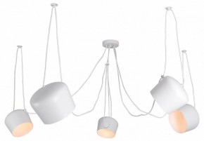 Подвесная люстра Lussole Shirley LSP-8175 в Лабытнанги - labytnangi.mebel24.online | фото