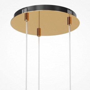 Подвесная люстра Maytoni Drop MOD273PL-L33G3K в Лабытнанги - labytnangi.mebel24.online | фото 6