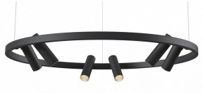 Подвесная люстра Maytoni Halo MOD102PL-L42BK в Лабытнанги - labytnangi.mebel24.online | фото