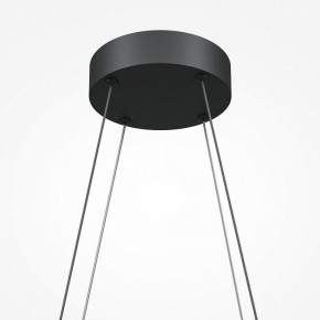 Подвесная люстра Maytoni Halo MOD244PL-L50BK в Лабытнанги - labytnangi.mebel24.online | фото 5