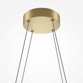 Подвесная люстра Maytoni Halo MOD244PL-L50BSK в Лабытнанги - labytnangi.mebel24.online | фото 4