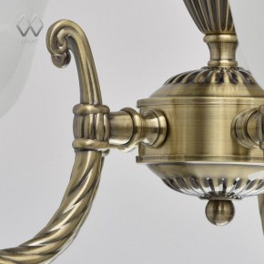 Подвесная люстра MW-Light Ариадна 20 450016305 в Лабытнанги - labytnangi.mebel24.online | фото 10