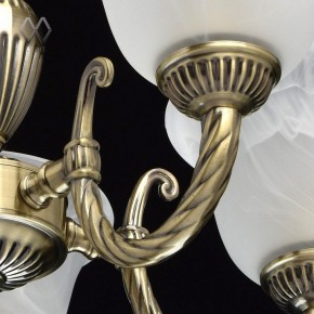 Подвесная люстра MW-Light Ариадна 20 450016305 в Лабытнанги - labytnangi.mebel24.online | фото 6