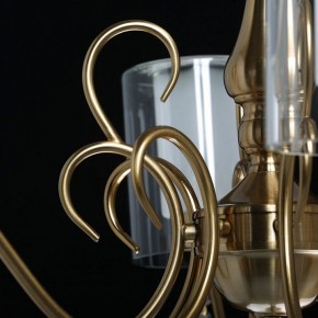 Подвесная люстра MW-Light Эллегия 8 303012708 в Лабытнанги - labytnangi.mebel24.online | фото 7
