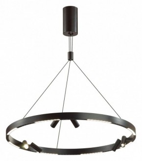 Подвесная люстра Odeon Light Beveren 6683/103L в Лабытнанги - labytnangi.mebel24.online | фото 2