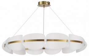 Подвесная люстра ST-Luce Etoile SL1304.203.65 в Лабытнанги - labytnangi.mebel24.online | фото 3
