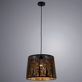 Подвесной светильник Arte Lamp Celesta A2769SP-1BK в Лабытнанги - labytnangi.mebel24.online | фото 3