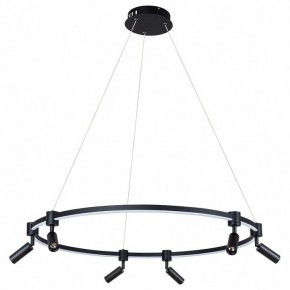Подвесной светильник Arte Lamp Ring A2186SP-1BK в Лабытнанги - labytnangi.mebel24.online | фото 2
