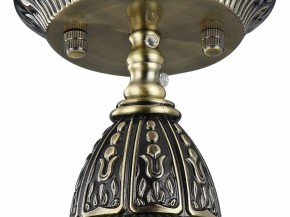 Подвесной светильник Favourite Sorento 1584-1P в Лабытнанги - labytnangi.mebel24.online | фото 4