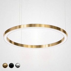 Подвесной светильник Imperiumloft Light Ring Horizontal 40.1454-120 в Лабытнанги - labytnangi.mebel24.online | фото