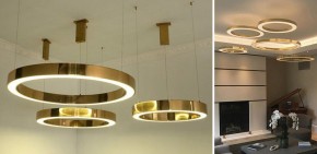 Подвесной светильник Imperiumloft Light Ring Horizontal 40.1454-120 в Лабытнанги - labytnangi.mebel24.online | фото 2