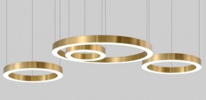 Подвесной светильник Imperiumloft Light Ring Horizontal 40.1454-120 в Лабытнанги - labytnangi.mebel24.online | фото 4