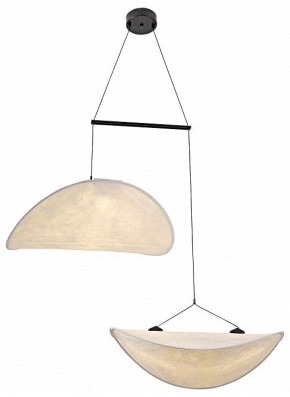 Подвесной светильник Kink Light Брами 08022-60+60,01 в Лабытнанги - labytnangi.mebel24.online | фото