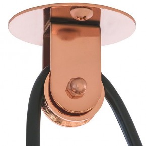 Подвесной светильник Lightstar Acrobata 761073 в Лабытнанги - labytnangi.mebel24.online | фото 5