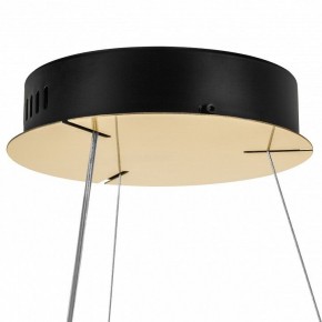 Подвесной светильник Lightstar Helio 703143 в Лабытнанги - labytnangi.mebel24.online | фото 8